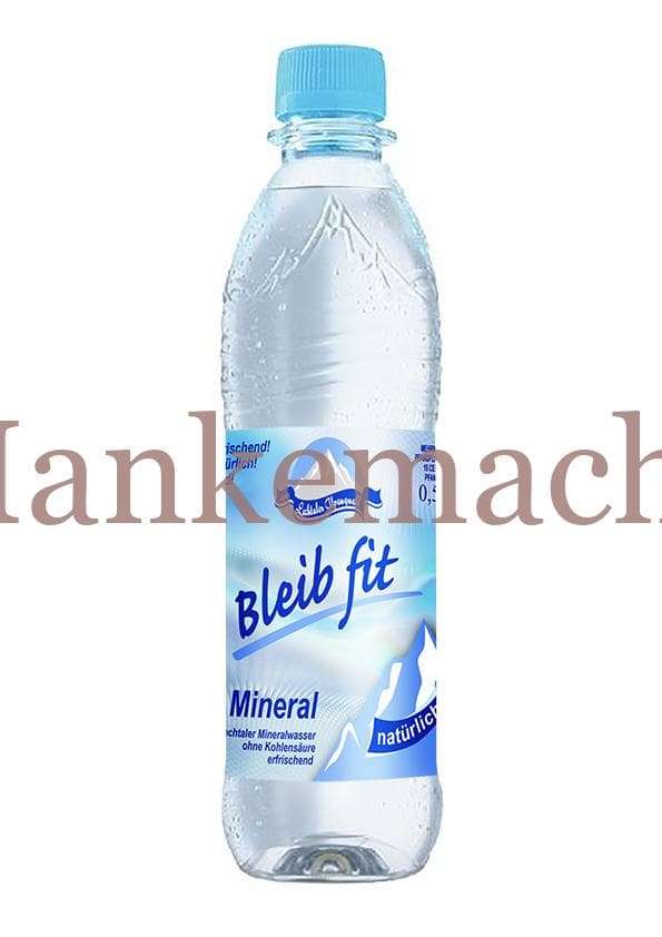 Lechtaler Alpenquell bleib fit Mineralwasser 0, 5 Liter, natürlich