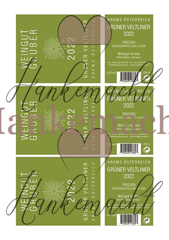 Grüner Veltliner Gruber – Bild 2