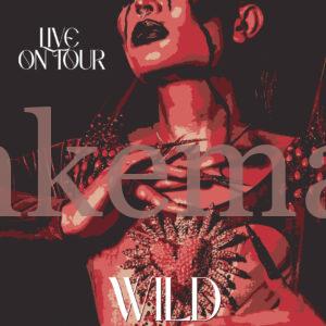 Wild Witches Poster für ihre Live Tour mit einer Frau mit bizarrem Makeup und langen Fingernägeln.