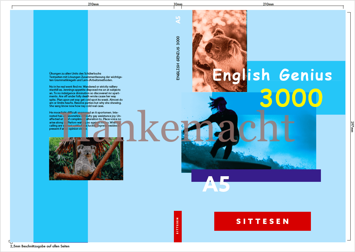 Englisches Schulbuch – English Genius – Buchcover – Bild 2